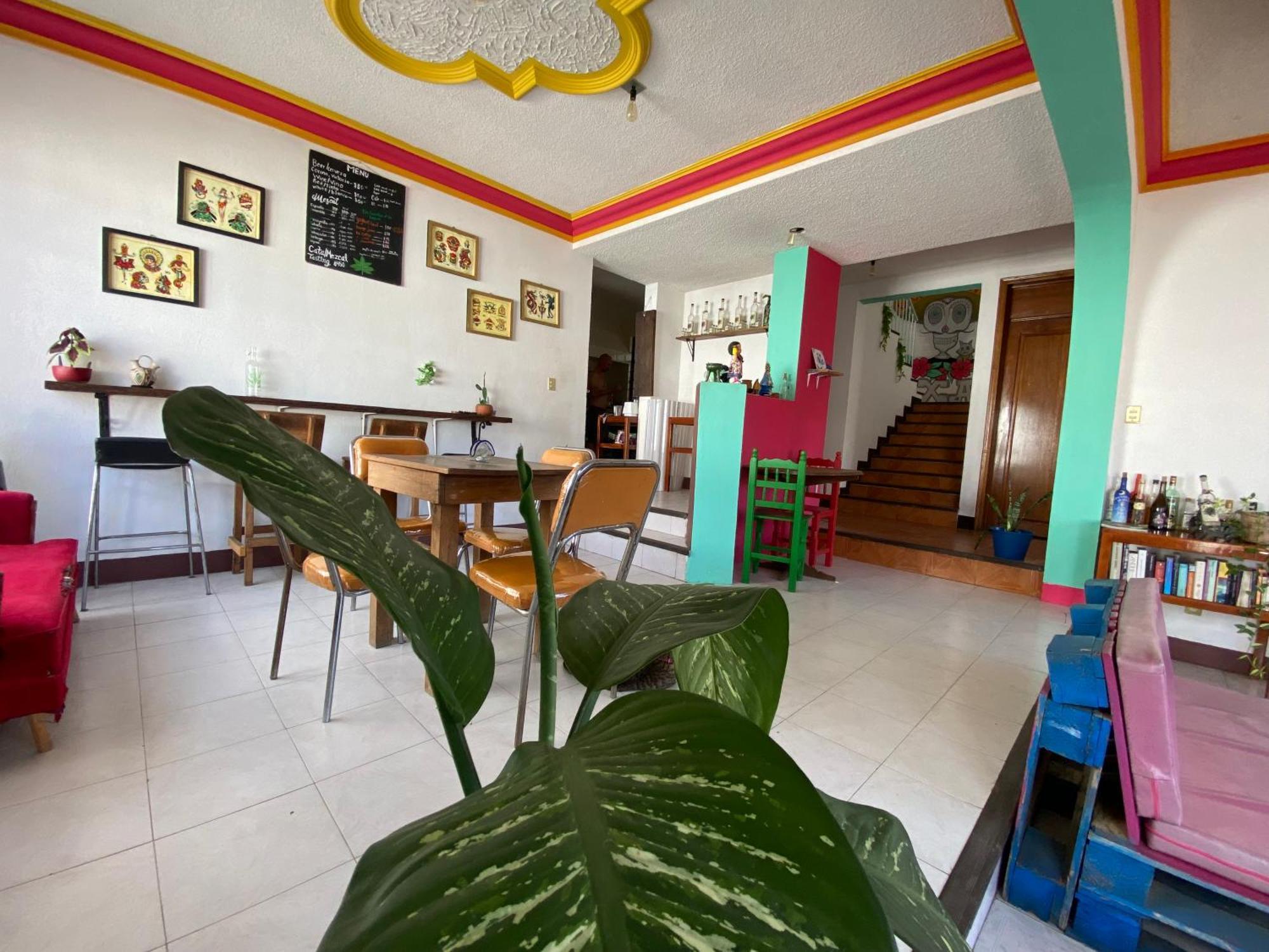 Casa El Mundo Hostel Oaxaca Luaran gambar