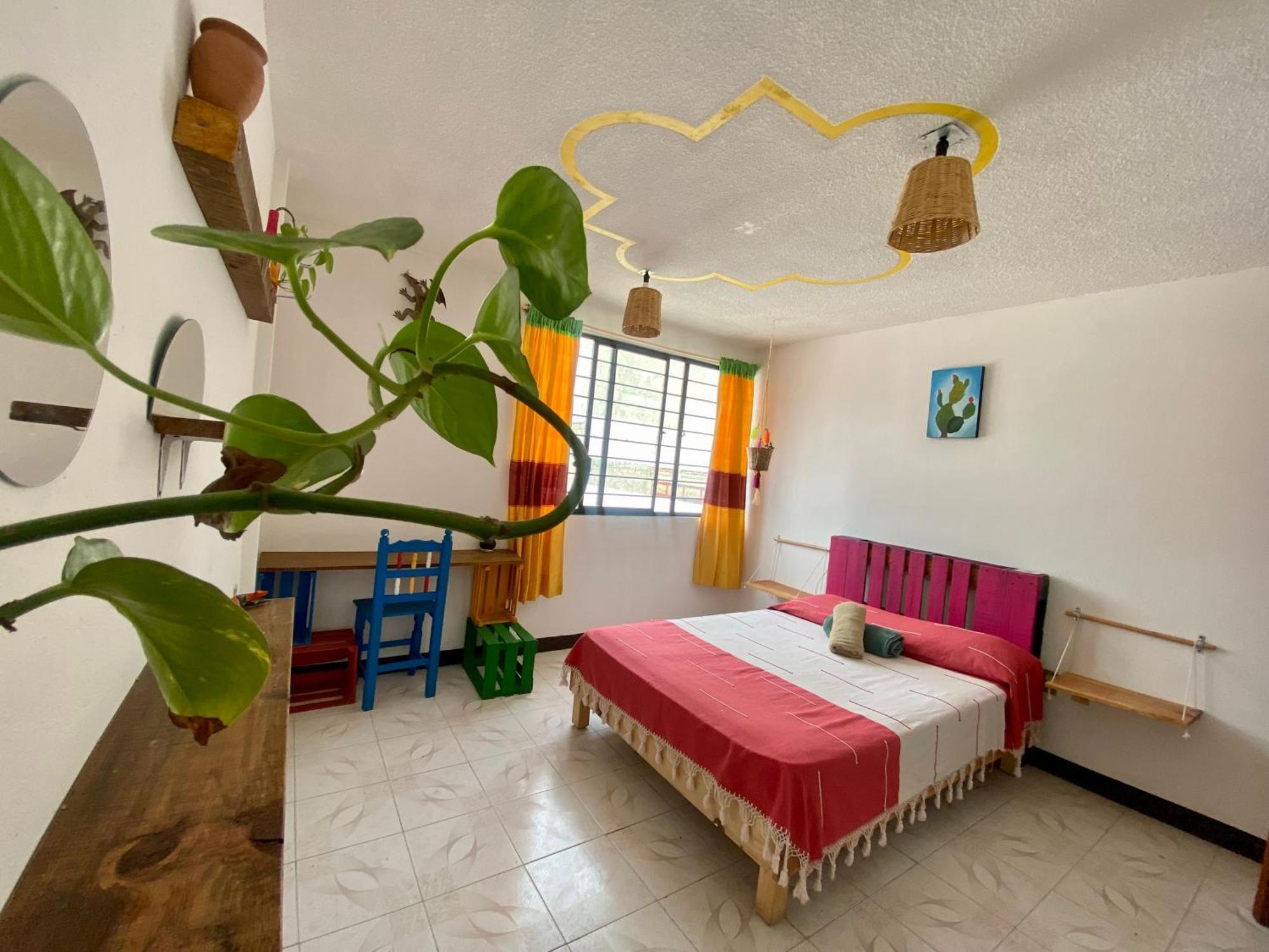 Casa El Mundo Hostel Oaxaca Luaran gambar