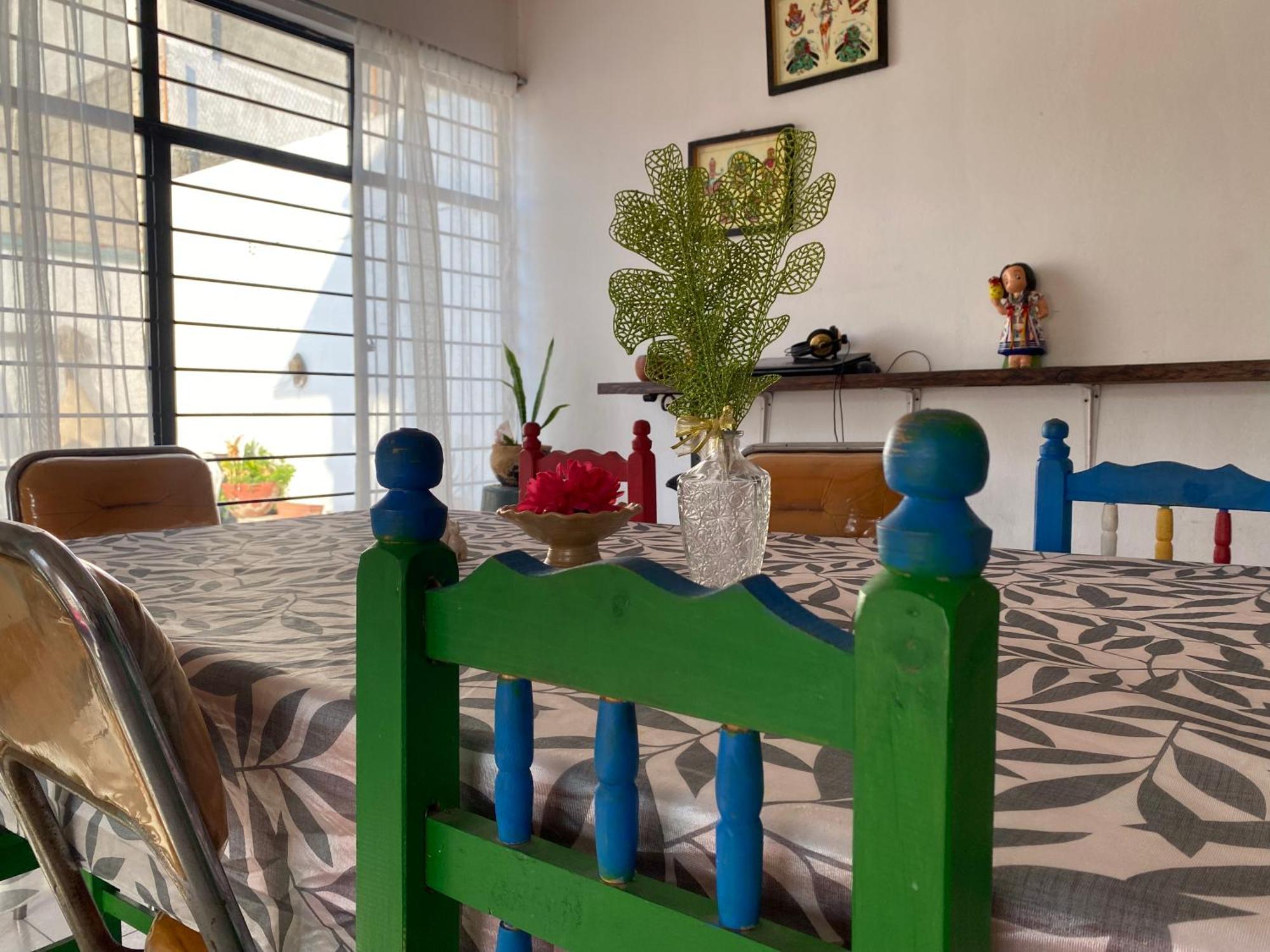 Casa El Mundo Hostel Oaxaca Luaran gambar